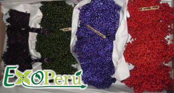 Pepperberry Assort